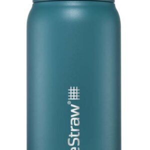 LifeStraw Go 2.0 RVS waterfles met filter (1 liter)